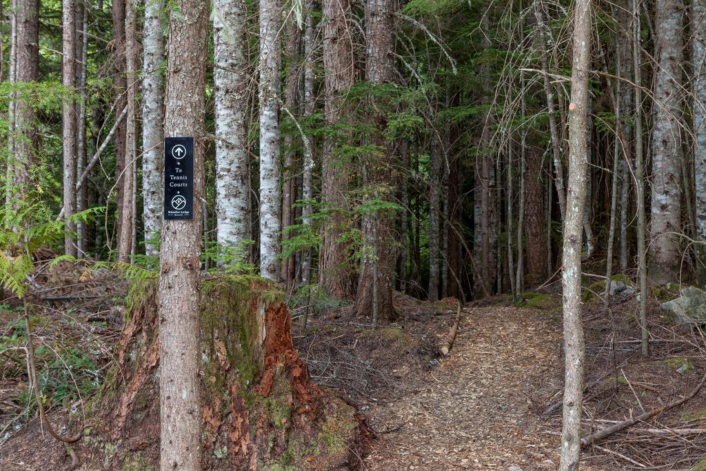 Ubc Whistler Lodge Dış mekan fotoğraf